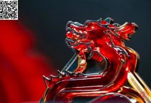 【EV扑克】祝贺红龙超越前程，小鱼战队锦鲤出动金枪破空，进军龙门！-博狗扑克 蜗牛扑克 德州扑克跟我学