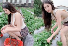 穿這樣採草莓可以？性感小妖精「Queenta許伊兒」沒穿內衣就出門-博狗扑克 蜗牛扑克 德州扑克跟我学