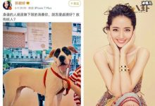 【EV扑克】向太安慰郭碧婷什么情况, 向太安慰郭碧婷又说了什么引网友狂赞-博狗扑克 蜗牛扑克 德州扑克跟我学