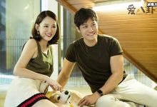 【EV扑克】陈乔恩辟谣分手是怎么回事? 陈乔恩艾伦因何事而传出分手-博狗扑克 蜗牛扑克 德州扑克跟我学