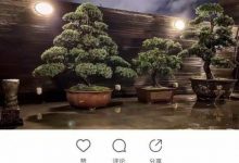 【EV扑克】向佐“三棵树”疑暗示郭碧婷怀孕, 郭碧婷生了吗什么时候生-博狗扑克 蜗牛扑克 德州扑克跟我学