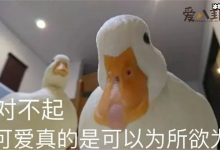 【EV扑克】柯尔鸭为什么那么贵？ 因王珞丹一篇微博柯尔鸭彻底火了-博狗扑克 蜗牛扑克 德州扑克跟我学