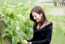 【EV扑克】赵薇割韭菜是什么意思, 导致众多股民联合起来状告赵薇-博狗扑克 蜗牛扑克 德州扑克跟我学