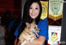 【EV扑克】叶剑波和傅明宪离婚, 离异豪放的原因竟与前夫离婚有关-博狗扑克 蜗牛扑克 德州扑克跟我学
