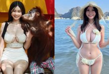 正妹護理師「Judy」爆乳遊泰國,被紅毛猩猩抱著猛吸!-博狗扑克 蜗牛扑克 德州扑克跟我学