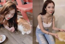 巨乳貓奴「羅莉 Rolly」趴地逗貓　豐滿雙球呼之欲出好性感-博狗扑克 蜗牛扑克 德州扑克跟我学