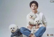 【EV扑克】刘柏辛是混血吗？ 因一张混血脸被误会与李佳琦关系不一般-博狗扑克 蜗牛扑克 德州扑克跟我学