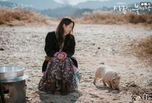 【EV扑克】爱的迫降破纪录,到底有多好看剧情主要讲述了什么-博狗扑克 蜗牛扑克 德州扑克跟我学