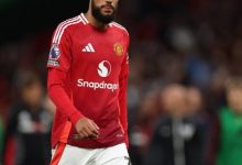 大发体育-最佳引援!马兹拉维成曼联关键先生,大发助力你的致富之路!-博狗扑克 蜗牛扑克 德州扑克跟我学