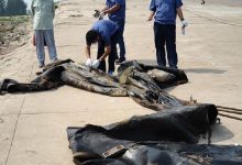 【EV扑克】三峡有水怪？其图片被扒！-博狗扑克 蜗牛扑克 德州扑克跟我学