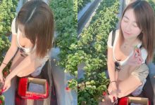 關西草莓園「隱乳系清純妹」低頭採草莓！「上帝視角」把美景盡收眼底！-博狗扑克 蜗牛扑克 德州扑克跟我学