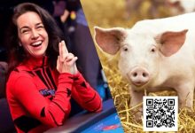 【EV扑克】趣闻 | 人美心善，Liv Boeree捐出56万美元改善猪的待遇-博狗扑克 蜗牛扑克 德州扑克跟我学