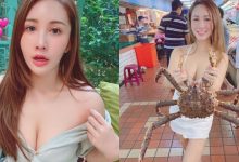 真材實料!「Bivi華華」逛市場被帝王蟹嚇歪,網友猛流口水:想吃奶油螃蟹了!-博狗扑克 蜗牛扑克 德州扑克跟我学