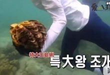 【EV扑克】李烈音或被判5年, 因节目或成最惨女嘉宾-博狗扑克 蜗牛扑克 德州扑克跟我学