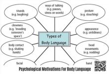 【EV扑克】《卡罗的马脚大全》精华内容总结，一篇文章读懂一本书！-博狗扑克 蜗牛扑克 德州扑克跟我学