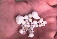 【EV扑克】发现赚钱机密吃生蚝吐48颗!得知真相却被狠狠打脸!-博狗扑克 蜗牛扑克 德州扑克跟我学