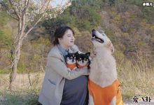 【EV扑克】具惠善将隐退？为何与安宰贤的婚姻如此短暂？-博狗扑克 蜗牛扑克 德州扑克跟我学