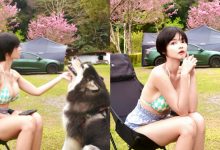 鹿林道見性感女孩「A栗」,「露營穿比基尼」逗愛犬畫面超療癒-博狗扑克 蜗牛扑克 德州扑克跟我学