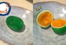 惡魔食譜！教你如何做出受詛咒的水煮蛋…-博狗扑克 蜗牛扑克 德州扑克跟我学