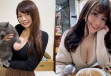 嘉義走失貓懸賞金50萬引起關注 「巨乳飼主」曝光更讓網友暴動-博狗扑克 蜗牛扑克 德州扑克跟我学