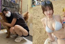 人美心善體還辣!香港巨乳正妹利用閒暇時間擔任狗園義工-博狗扑克 蜗牛扑克 德州扑克跟我学