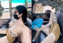 「巨乳妹」野生動物園餵長頸鹿被襲擊 趕緊趴下保護雙峰!-博狗扑克 蜗牛扑克 德州扑克跟我学