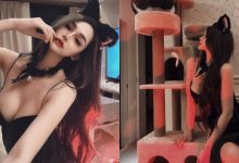 「巨乳貓貓」也想玩貓爬架!「窈窕正妹」Misa 蜜莎化身性感小貓咪,火辣到不行!-博狗扑克 蜗牛扑克 德州扑克跟我学