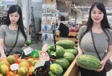 比西瓜還大!巨乳正妹逛超市 貼身上衣擋不住進擊乳量-博狗扑克 蜗牛扑克 德州扑克跟我学