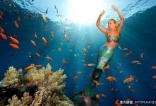 美女子熱愛水族館表演 改名「美人魚」-博狗扑克 蜗牛扑克 德州扑克跟我学