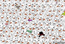 尋找熊貓」引爆尋圖熱潮，網友紛紛製作「尋寶圖畫」，好熱鬧-博狗扑克 蜗牛扑克 德州扑克跟我学