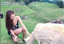 「清境低胸妹」露出乳能量!低頭餵羊畫面讓人療癒,沒想到還是一位空姐…-博狗扑克 蜗牛扑克 德州扑克跟我学