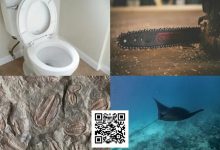 【EV扑克】扑克界谁的绰号最炸裂：电锯、魔鬼鱼、石化人、马桶？-博狗扑克 蜗牛扑克 德州扑克跟我学