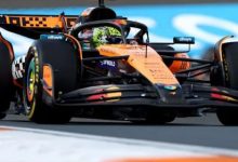 大发体育-诺里斯在荷兰大奖赛首场练习赛中领先皮亚斯特里，大发助力你的致富之路！-博狗扑克 蜗牛扑克 德州扑克跟我学