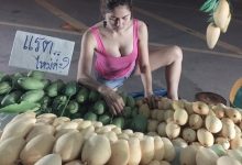 曼谷必去「爆乳芒果攤」！爆乳老闆娘邪惡視角，讓你「買兩粒送兩粒」！-博狗扑克 蜗牛扑克 德州扑克跟我学