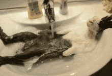 想成爲性學大師,先干掉這7個謠言-博狗扑克 蜗牛扑克 德州扑克跟我学