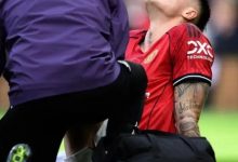 大发体育-谢什科官宣退出国家队，仍可能伤缺一个月，大发助力你的致富之路！-博狗扑克 蜗牛扑克 德州扑克跟我学