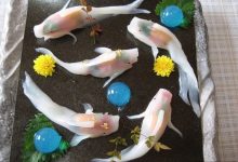 超強大『錦鯉壽司』 在家也可自己做！-博狗扑克 蜗牛扑克 德州扑克跟我学