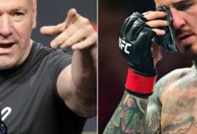 大发体育-达纳表示,他从未以“贬损的方式”谈论过汤姆,大发助力你的致富之路!-博狗扑克 蜗牛扑克 德州扑克跟我学