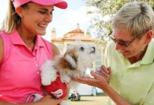 大发体育-米歇尔给巡演生活带来的困扰的建议是：养条狗，大发助力你的致富之路！-博狗扑克 蜗牛扑克 德州扑克跟我学