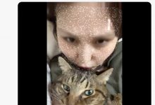 爱猫过世了⋯东北美人的她也不做了！-博狗扑克 蜗牛扑克 德州扑克跟我学