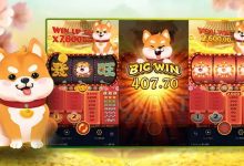 旺旺旺老虎机——大发娱乐上的喜庆娱乐人气之选-博狗扑克 蜗牛扑克 德州扑克跟我学