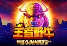 王者野牛——在大发娱乐感受草原霸主的内敛力量-博狗扑克 蜗牛扑克 德州扑克跟我学