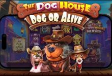 汪汪之家·狗狗神气 —— 大发娱乐全新萌宠主题老虎机深度介绍-博狗扑克 蜗牛扑克 德州扑克跟我学