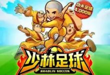 大发娱乐平台少林足球老虎机游戏深度介绍-博狗扑克 蜗牛扑克 德州扑克跟我学