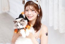 发片没有停!神木丽宣布新作上架的时间!-博狗扑克 蜗牛扑克 德州扑克跟我学