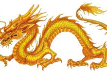 網友被親戚介紹與龍妹相親，上網尋求協助引發熱議-博狗扑克 蜗牛扑克 德州扑克跟我学