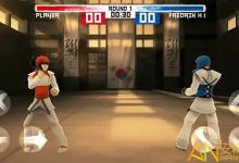 大发娱乐跆拳道游戏全新上线：巅峰格斗，燃爆你的竞技灵魂-博狗扑克 蜗牛扑克 德州扑克跟我学