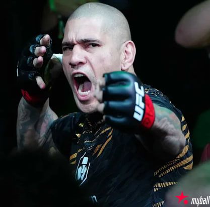 大发体育-亚历克斯将在UFC327之前放弃轻重量级冠军头衔，大发助力你的致富之路！