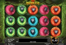 丛林狂欢开启,7只猴子来袭: 尽在大发娱乐城!-博狗扑克 蜗牛扑克 德州扑克跟我学