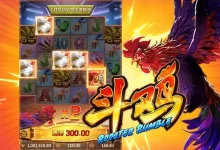 大发娱乐热门老虎机《斗鸡》震撼登场-博狗扑克 蜗牛扑克 德州扑克跟我学